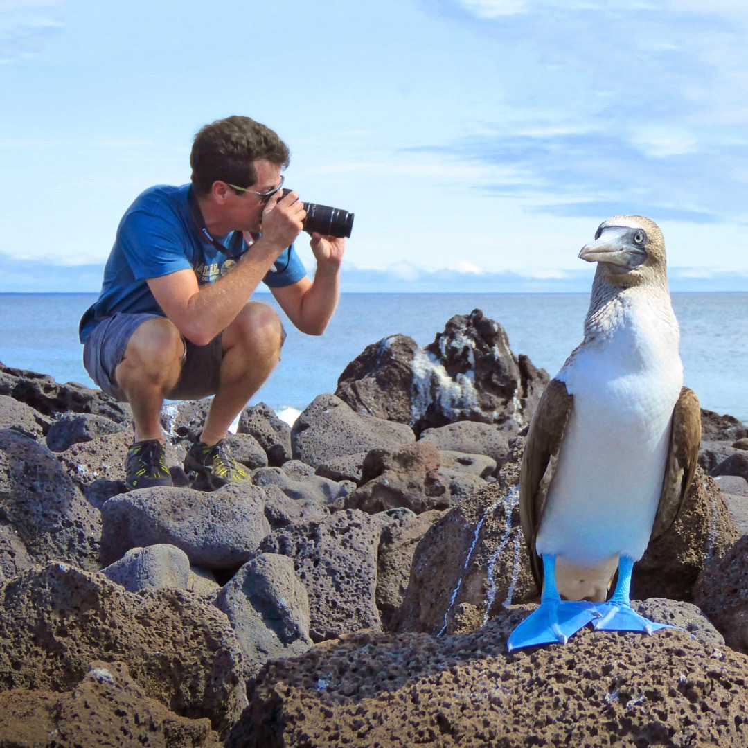 Blue_Footed_Booby_with_Photographer.jpg